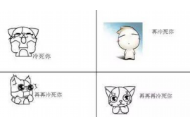 哈巴河为什么选择专业追讨公司来处理您的债务纠纷？